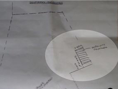 Η αυθαίρετη «βίλα» του σκύλου!